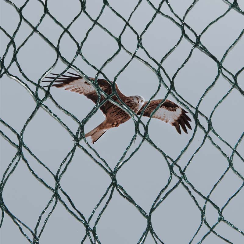 Quali sono le scelte dei materiali, i vantaggi e gli svantaggi delle reti per la prevenzione degli uccelli?