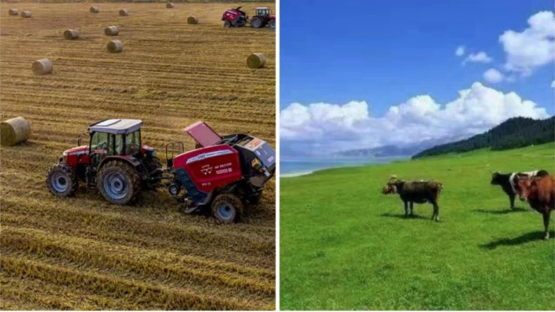 L'applicazione della rete di avvolgimento delle balle nelle attività agricole