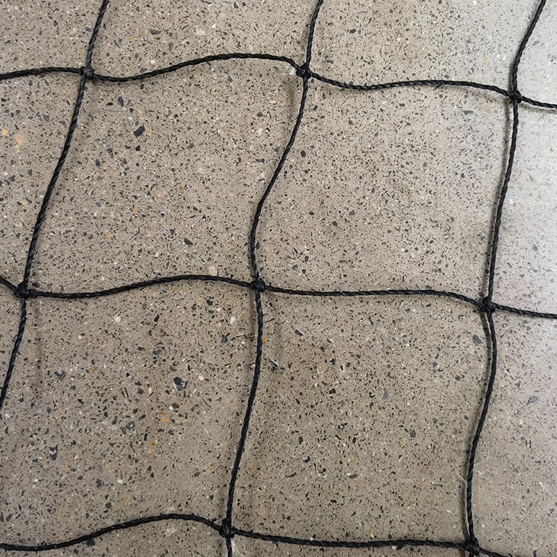 Il ruolo delle reti da cricket