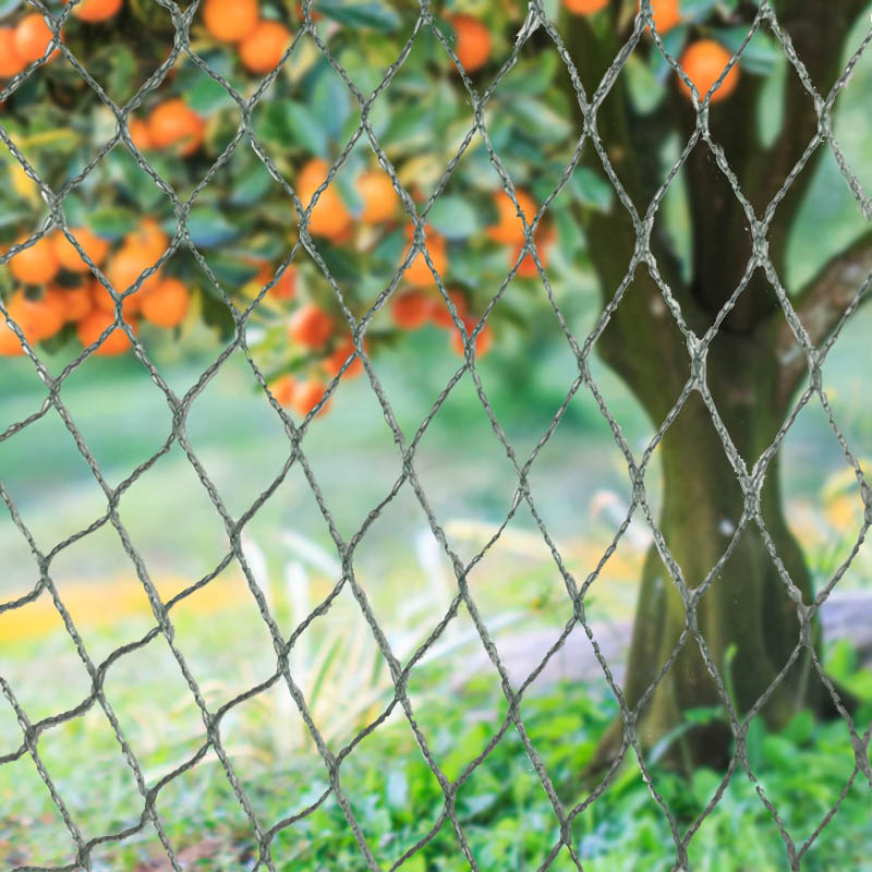 Proteggi i tuoi raccolti, proprietà e investimenti con la nostra resistente rete per uccelli!