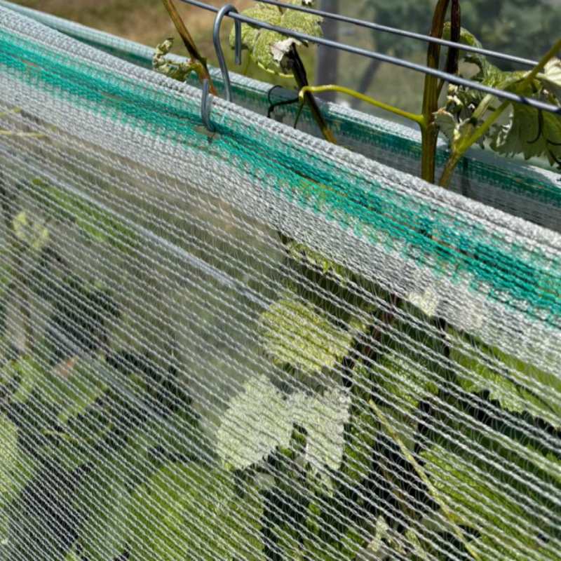 Rete antigrandine in HDPE per l'agricoltura Rete antigrandine in HDPE per l'agricoltura