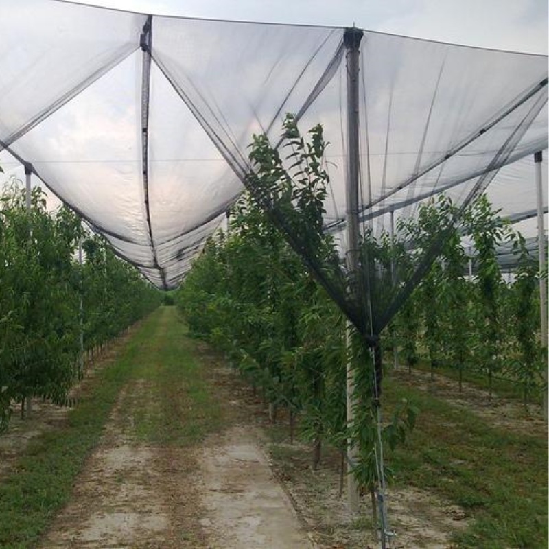 Rete antigrandine in plastica per l'agricoltura