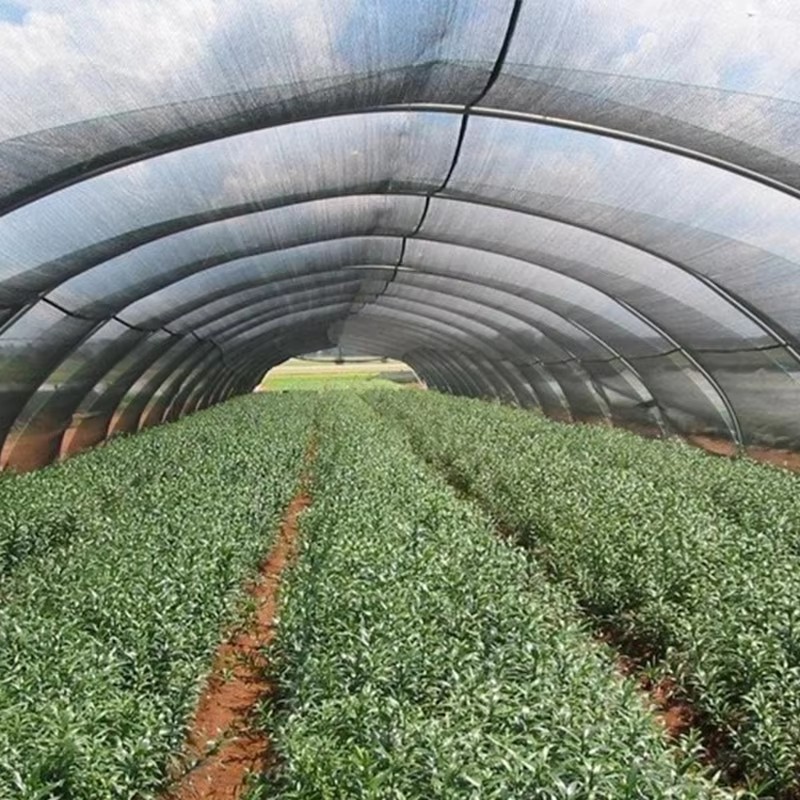 Telo ombreggiante da giardino per piante, bloccato al 40% dal sole