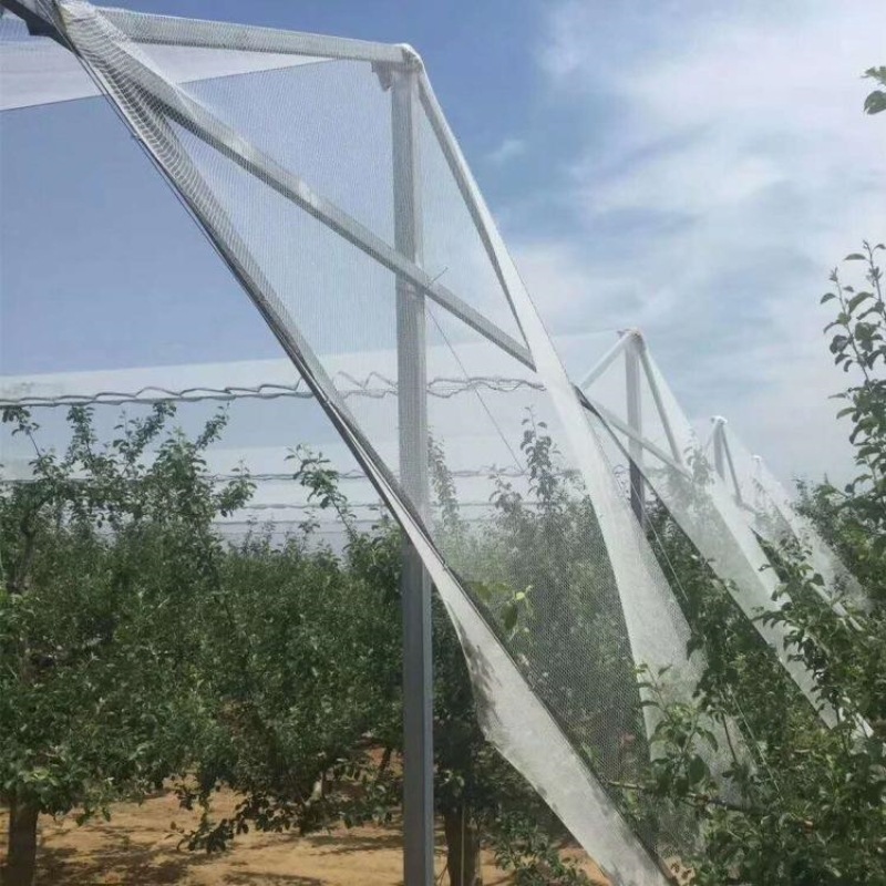 Rete Antigrandine per Protezione Alberi